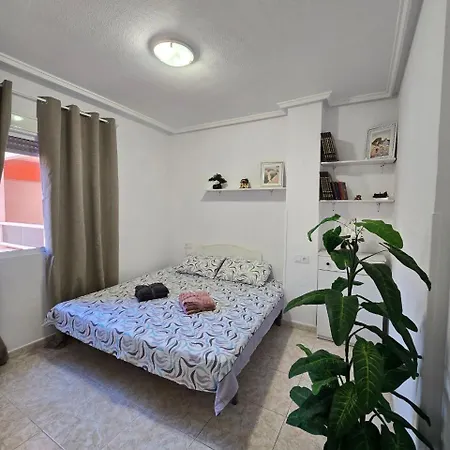Appartamento Cosy Sp In